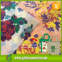 Logo stampa Non tessute tessuto Shopping Bag materiale prodotto da Quanzhou Golden Nonwoven Co.,ltd