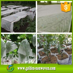 Agricoltura serre tessuto non tessuto prodotto da Quanzhou Golden Nonwoven Co.,ltd