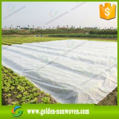 Agricoltura pp tessuto non tessuto per il controllo delle erbacce prodotto da Quanzhou Golden Nonwoven Co.,ltd