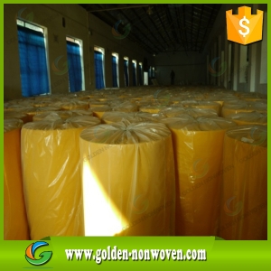 TNT  Spun Bond Non Woven Fabric /100%  Biodegradable PP Non woven  Fabric made by Quanzhou Golden Nonwoven Co.,ltd