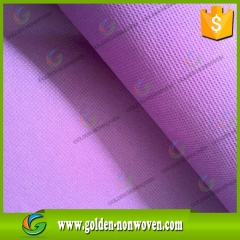 Prezzo in tessuto non tessuto spunbond a basso costo in polipropilene prodotto da Quanzhou Golden Nonwoven Co.,ltd