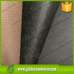 Tessuto non tessuto in fibra di mais biodegradabile al 100% Pla Spunbond prodotto da Quanzhou Golden Nonwoven Co.,ltd