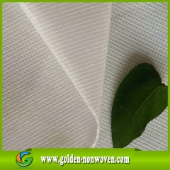 Shopping Bag Materiale 100% poliestere PET tessuto non tessuto prodotto da Quanzhou Golden Nonwoven Co.,ltd