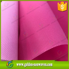 Tessuto non tessuto di Spunbond in PP di larghezza diversa prodotto da Quanzhou Golden Nonwoven Co.,ltd