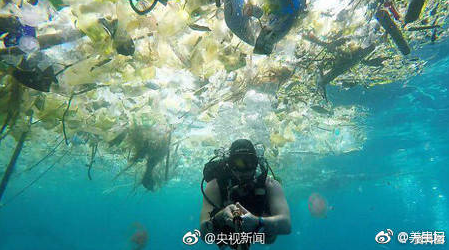 i sacchetti di plastica danneggiano il mondo intero !!! 